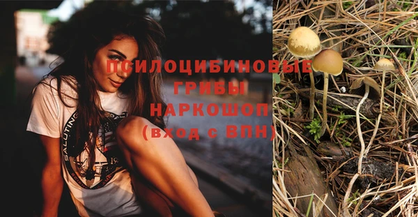 стафф Надым