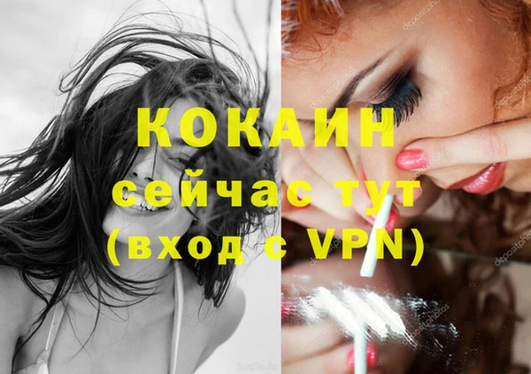 стафф Надым