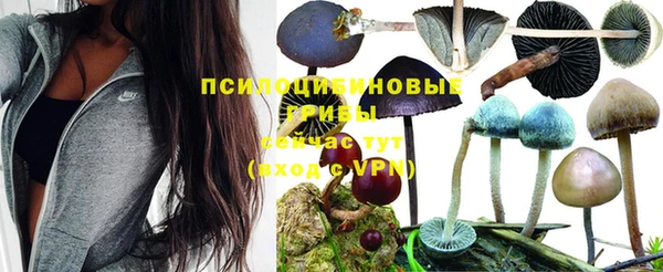 альфа пвп VHQ Апатиты