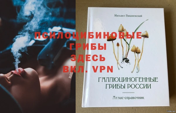 индика Навашино