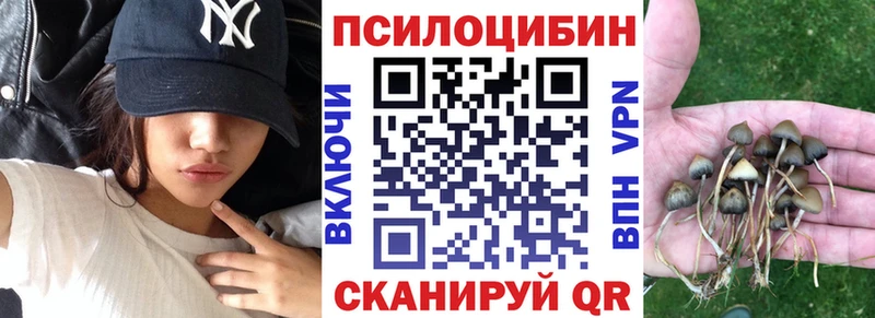 дарнет шоп  Тамбов  Галлюциногенные грибы GOLDEN TEACHER 