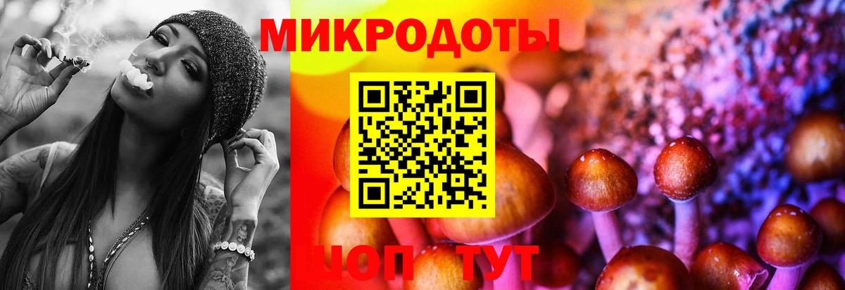 Галлюциногенные грибы Cubensis  Вход с VPN  Галлюциногенные грибы Magic Shrooms  Тамбов 