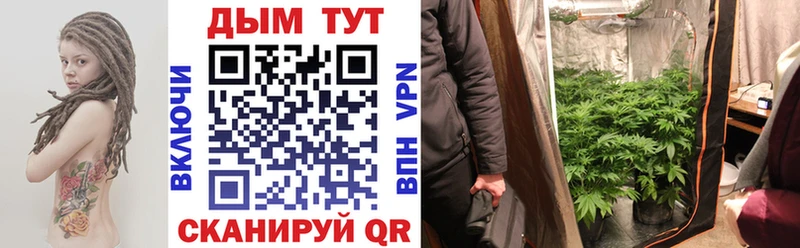 Шишки марихуана VHQ  площадка Telegram  Тамбов  закладка 
